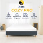 Nệm Cozy Pro Nguyên Khối Massage Toàn Thân 20 cm Trắng Xanh - thumbnail