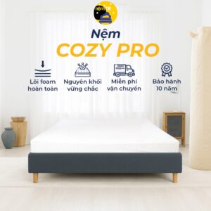 Nệm Cozy pro