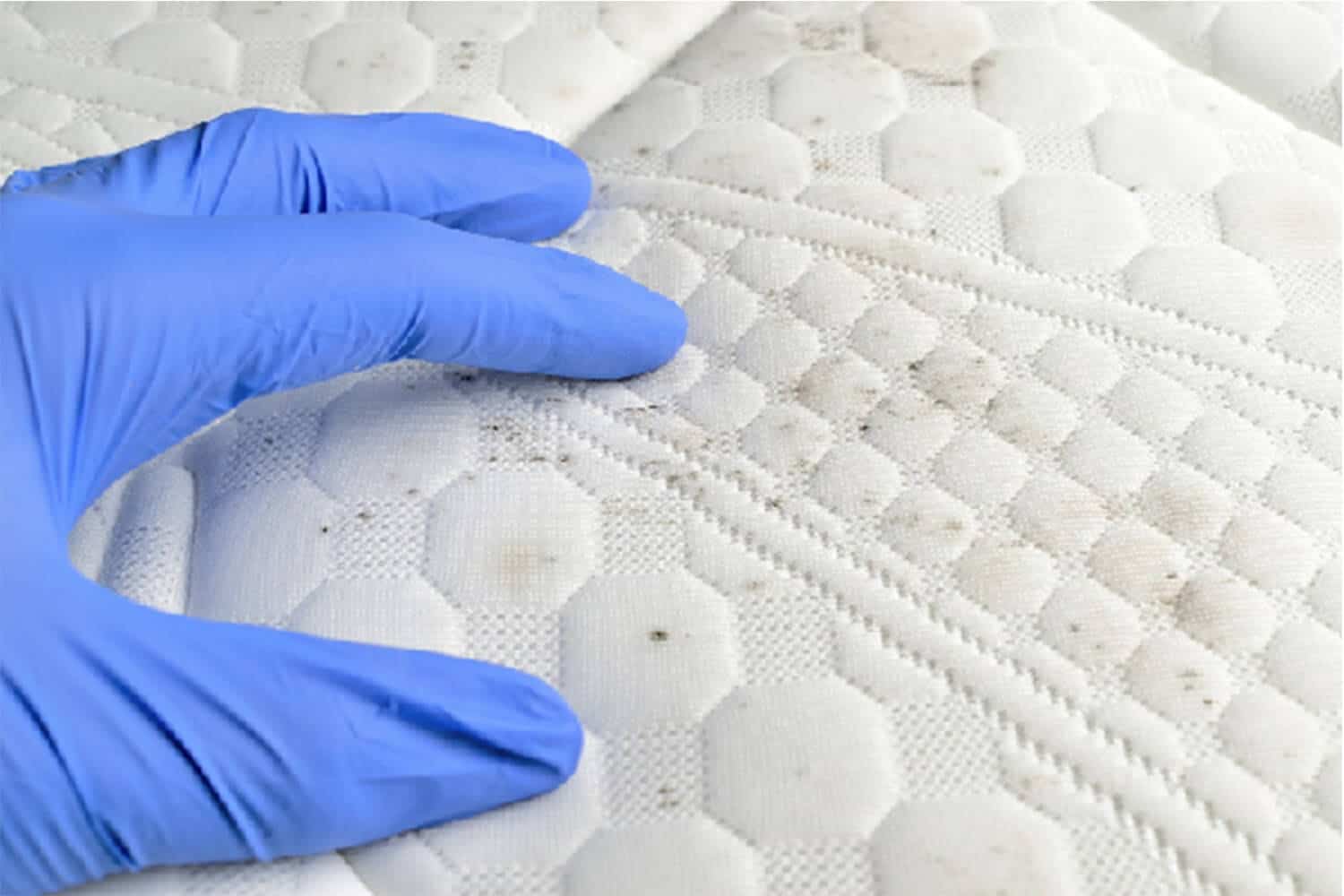 Nệm bị mốc