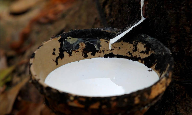 chất liệu latex