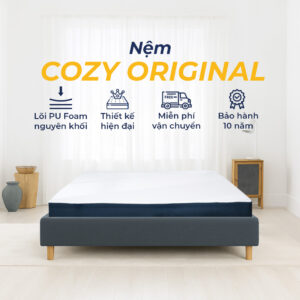 nệm cozy original