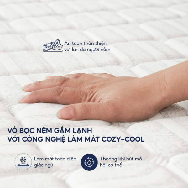 Đệm Evo Fold Gập 2 Chất Liệu Bông Ép Độ Dày 15cm