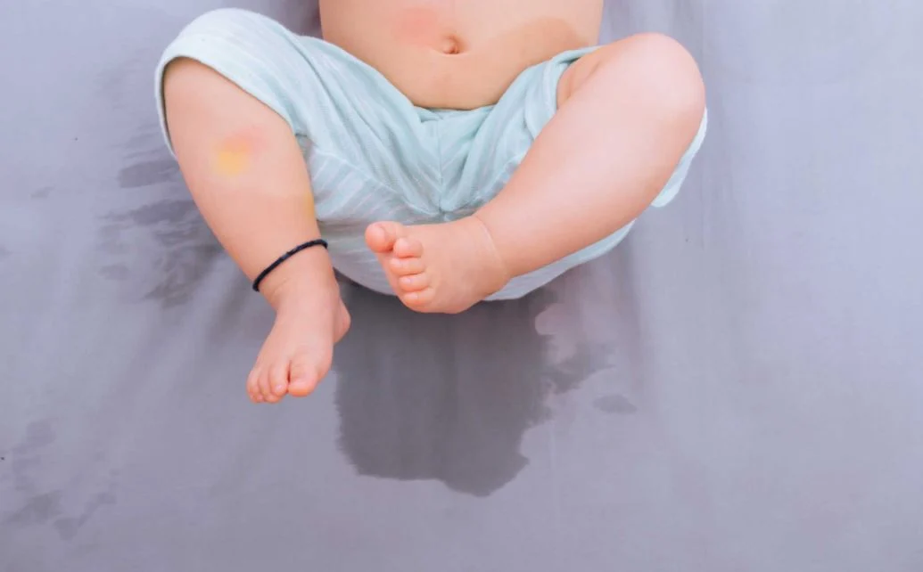 việc xử lý mùi nước tiểu cần được thực hiện nhanh chóng