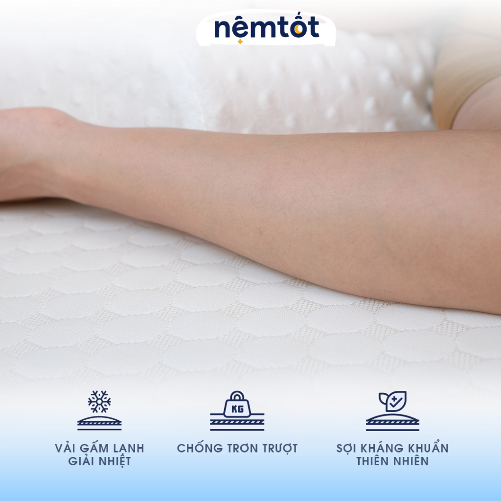 Nệm Foam Cozy Pro Foam Nguyên Khối Bền Chắc Thoáng Khí Nâng Đỡ Cơ Thể - CZY_DFOPO 33 Nệm Foam Cozy Pro Foam Nguyên Khối Bền Chắc Thoáng Khí Nâng Đỡ Cơ Thể - CZY_DFOPO