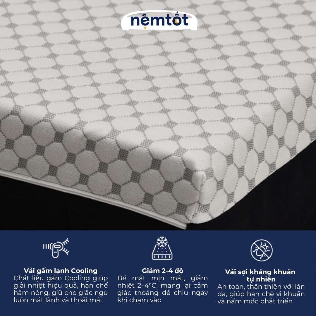 Đệm Foam Cozy Teacool Foam Trà Xanh Khử Mùi Hiệu Quả, Êm Ái, Dễ Chịu - CZY_DFOTC 30 Đệm Foam Cozy Teacool CZY_DFOTC