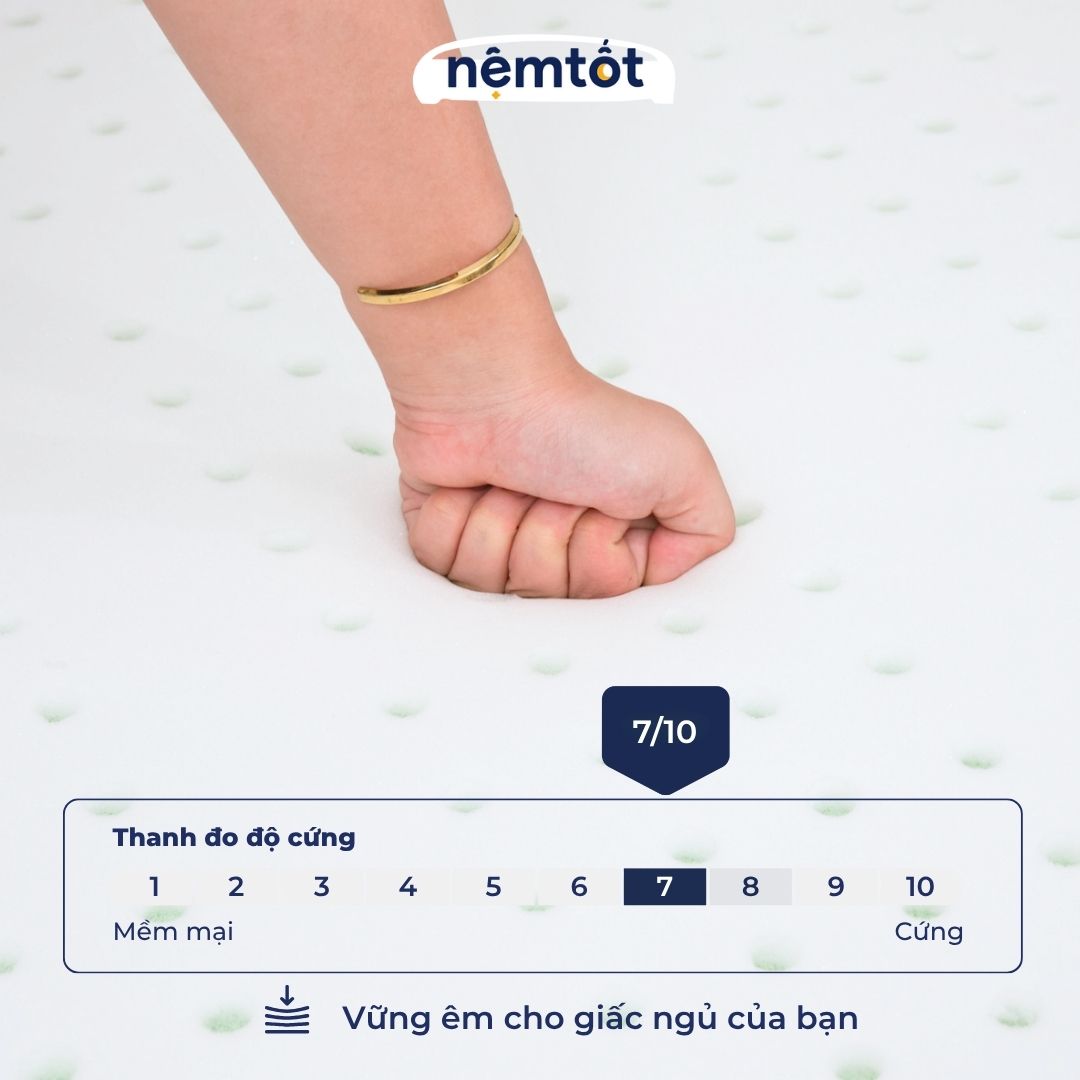 Đệm Foam Cozy Teacool Foam Trà Xanh Khử Mùi Hiệu Quả, Êm Ái, Dễ Chịu - CZY_DFOTC 31 Đệm Foam Cozy Teacool CZY_DFOTC