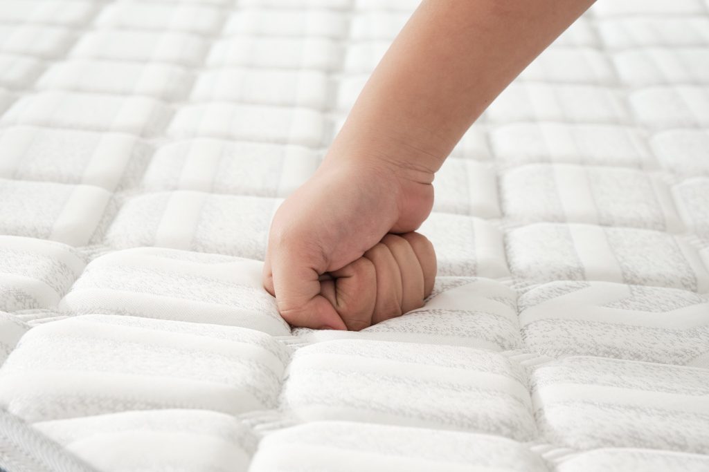 Nệm Foam Evo Fold Gập 2 Gấp Gọn Dễ Dàng Di Chuyển