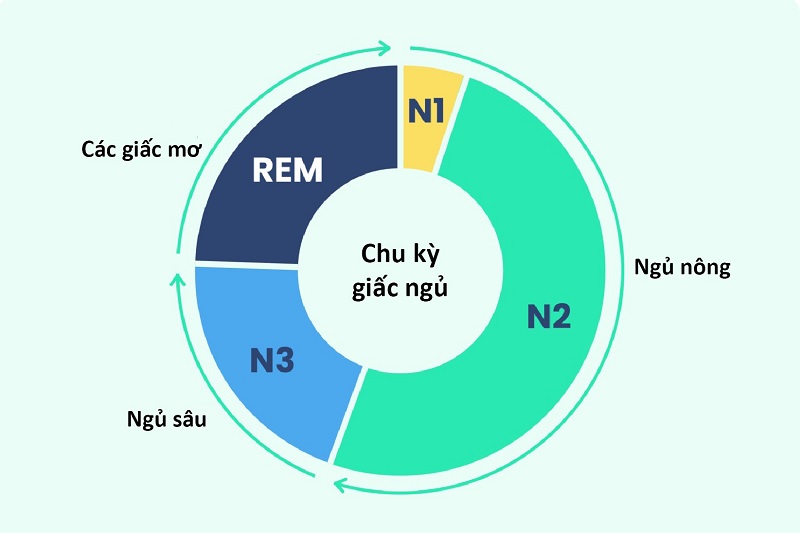 cách tính giờ ngủ