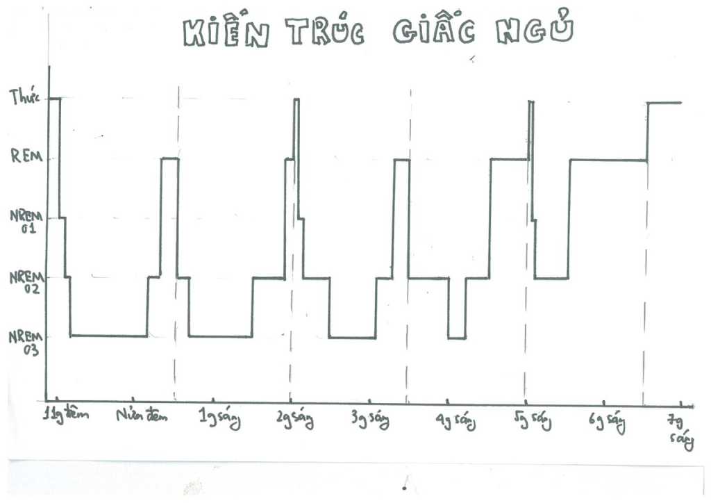 cách tính giờ ngủ