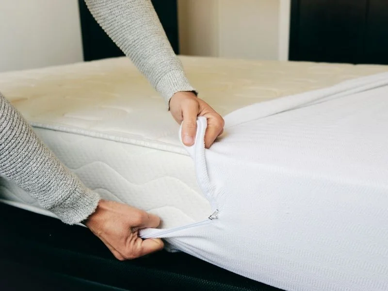 Chia sẻ cách chọn đệm bông ép chất lượng tốt, giá rẻ 57 chọn mua đệm bông ép