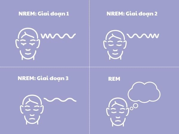 Chu kỳ giấc ngủ là gì? Chu kỳ của giấc ngủ diễn ra như thế nào? 9 chu kỳ giấc ngủ