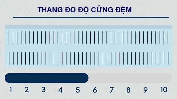 Độ cứng của nệm