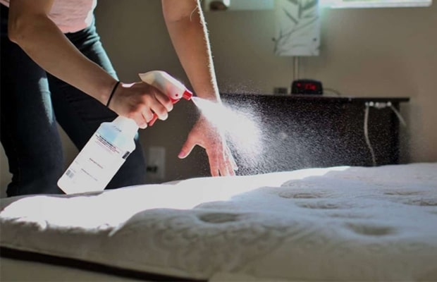 giặt đệm bông ép