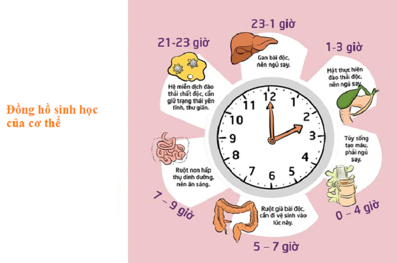 Tư thế nằm ngủ tăng chiều cao