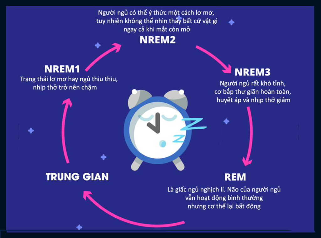 Cách ngủ ít không mệt mà vẫn tỉnh táo? Bật mí 4 chiến lược chi tiết A-Z 14 Cách ngủ ít không mệt