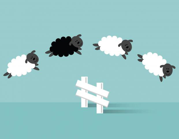 Đếm cừu để ngủ: Phương pháp đơn giản giúp bạn dễ chìm vào giấc ngủ 9 đếm cừu