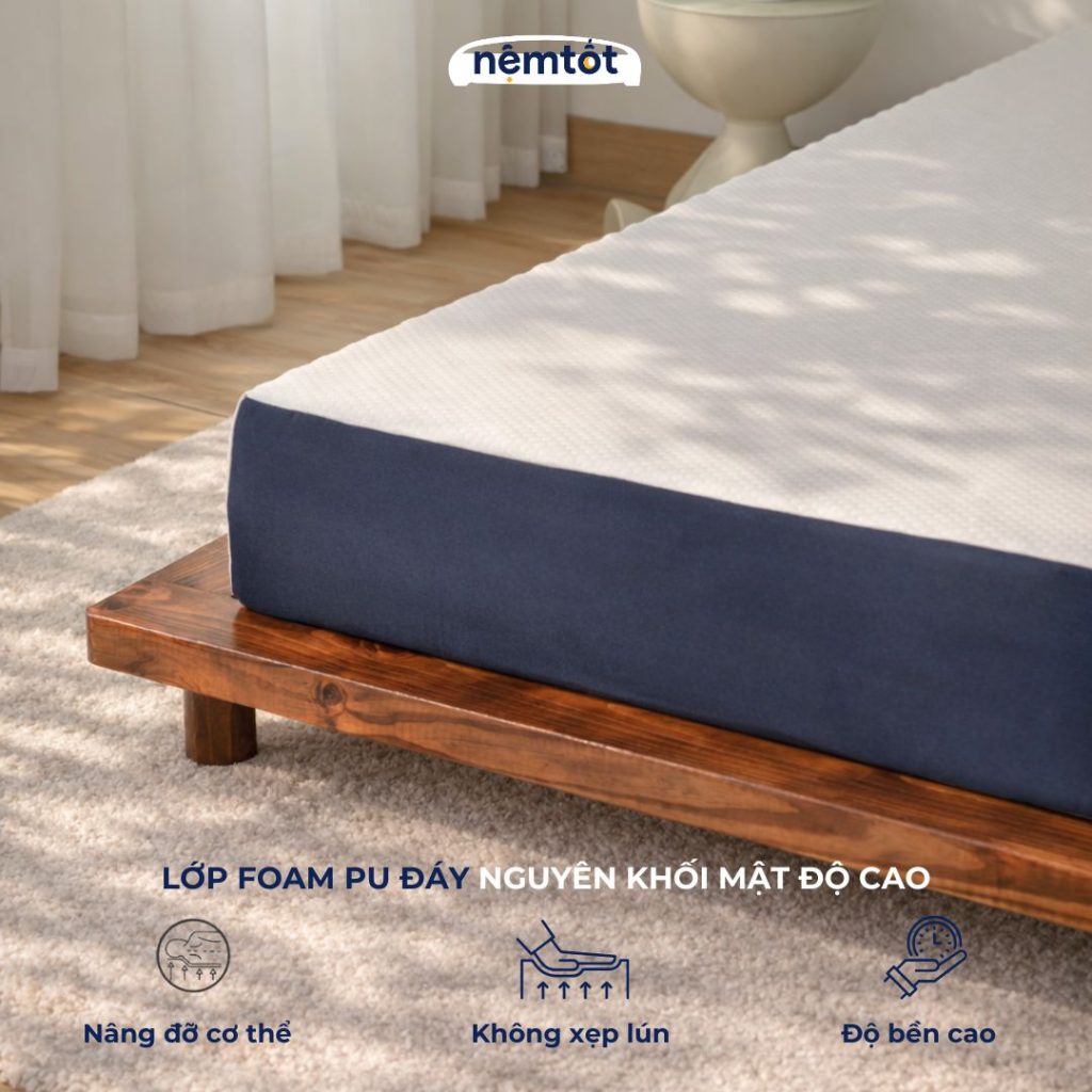Nệm foam cozy Massage