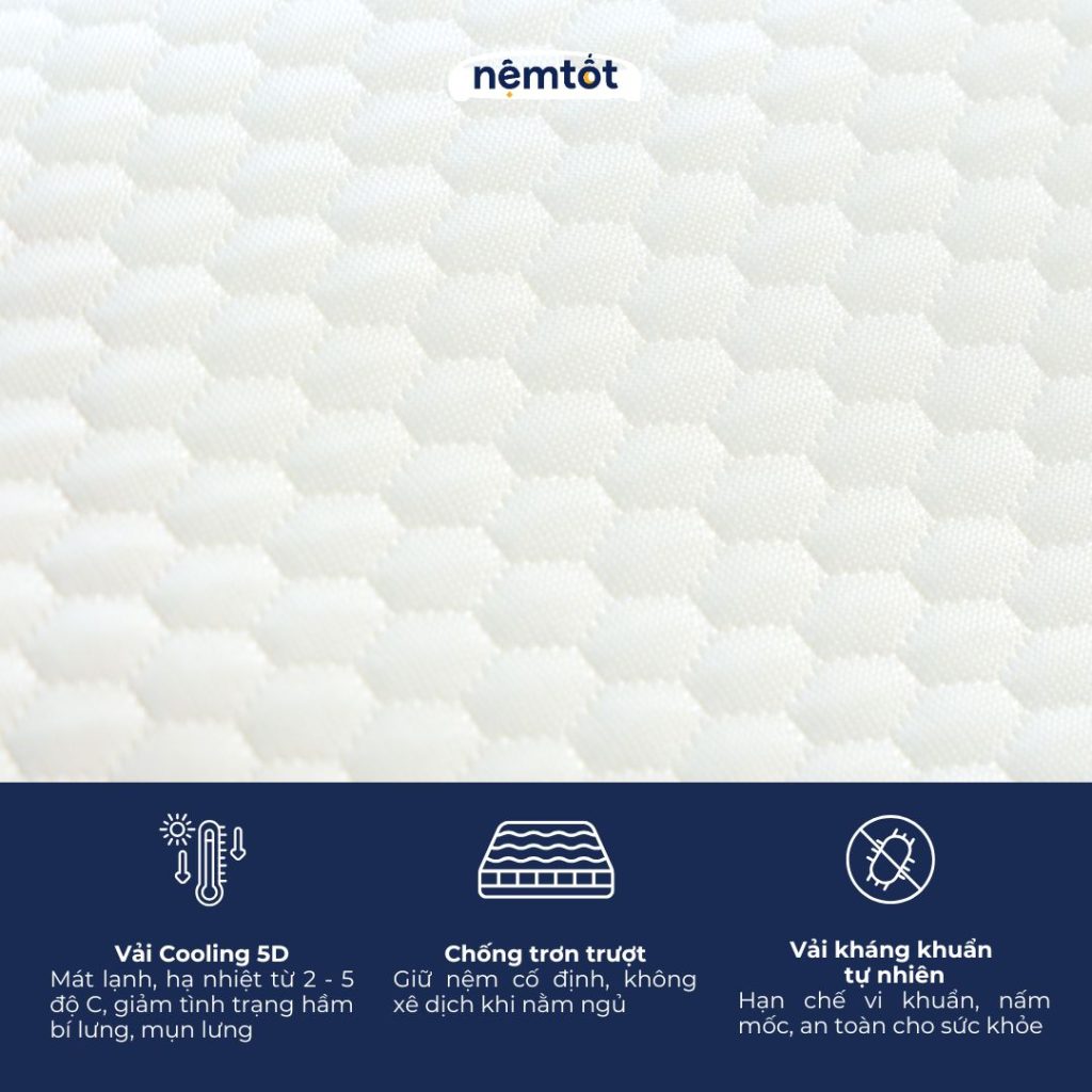 Nệm foam cozy Massage