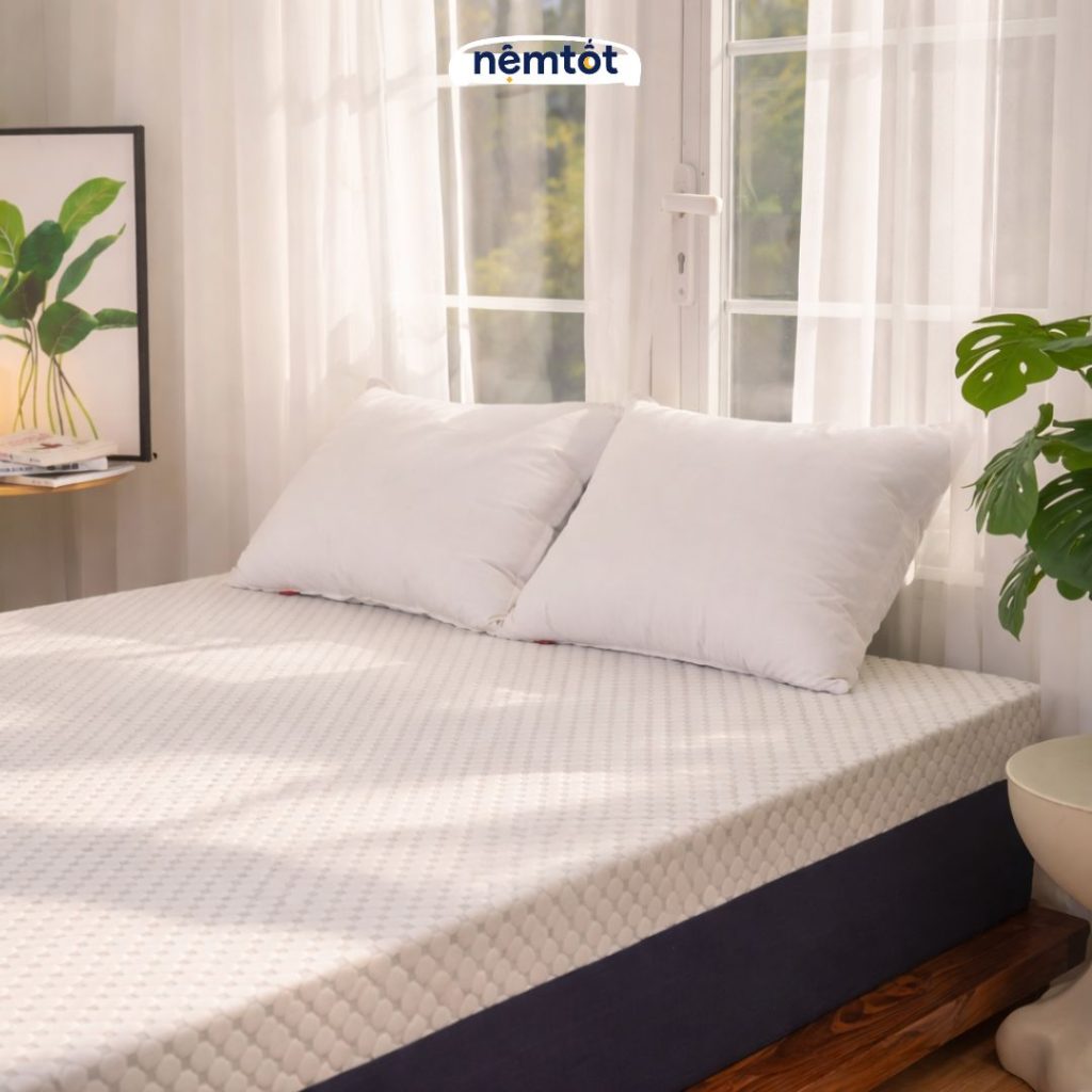 Nệm foam cozy teacool trà xanh