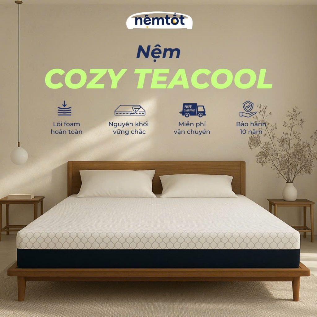 nệm foam cozy teacool