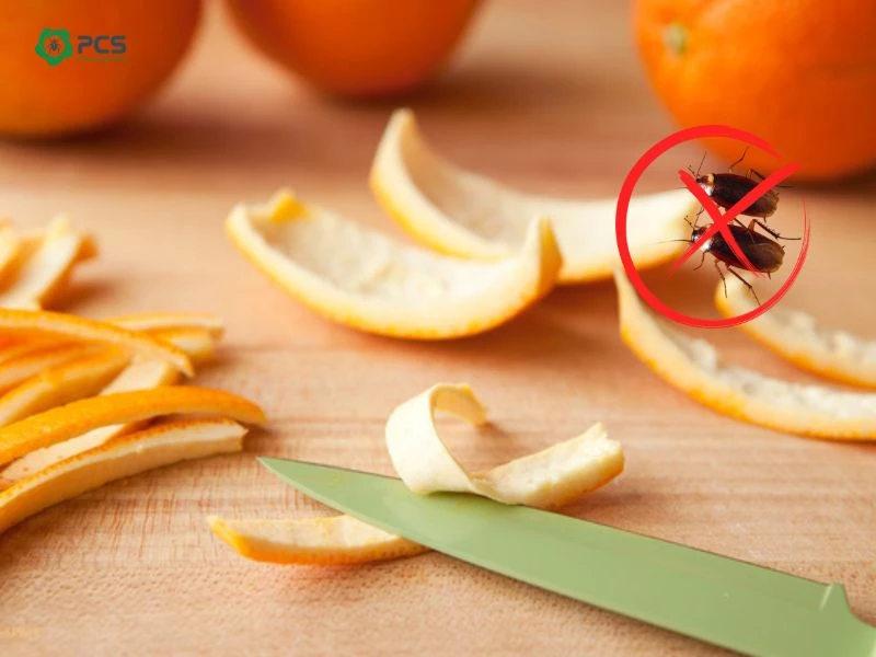 Cách diệt gián trong phòng ngủ