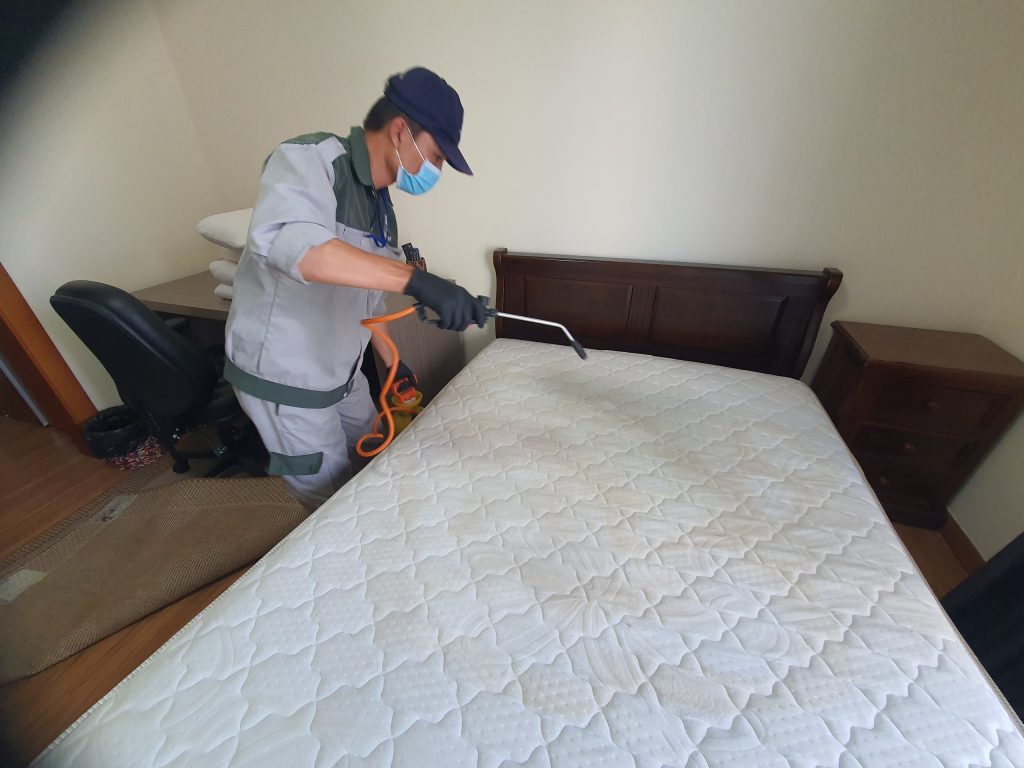 khử mùi nệm cao su mới mua về