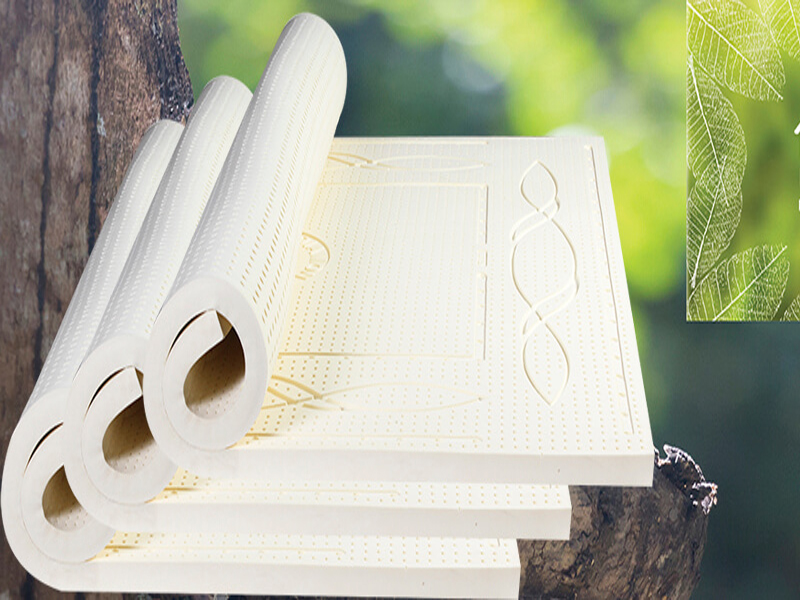 Mùi đệm cao su có độc không