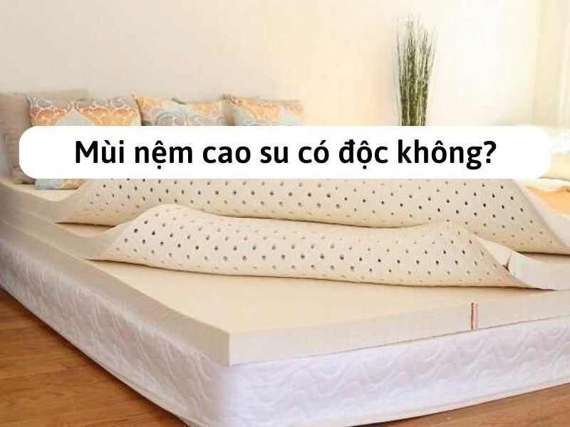 Mùi đệm cao su có độc không