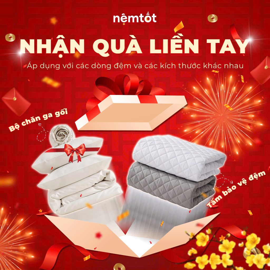 qua tang tet nem tot