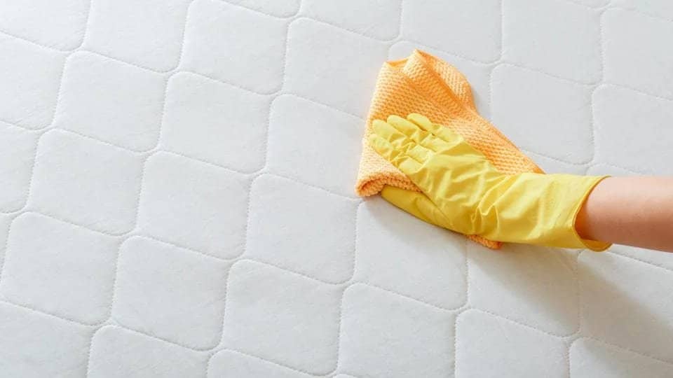 Cách vệ sinh nệm cao su thiên nhiên đúng cách tại nhà từ chuyên gia 15 cách vệ sinh nệm cao su thiên nhiên