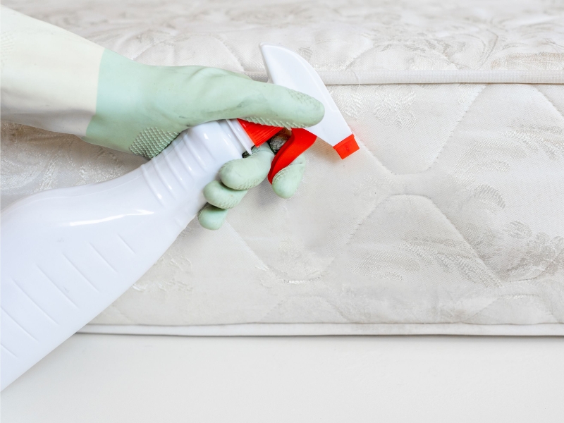 Cách vệ sinh nệm cao su thiên nhiên đúng cách tại nhà từ chuyên gia 16 cách vệ sinh nệm cao su thiên nhiên