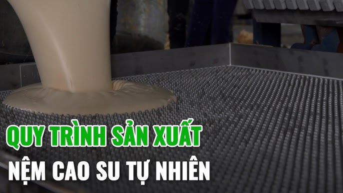 Nệm cao su thiên nhiên là gì