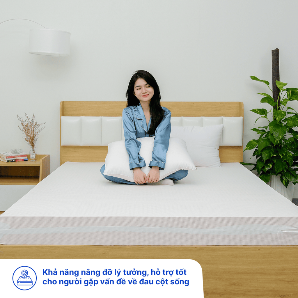 Nệm cao su thiên nhiên là gì