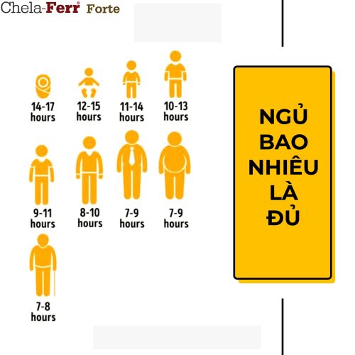 Ngủ nhiều có tăng cân không