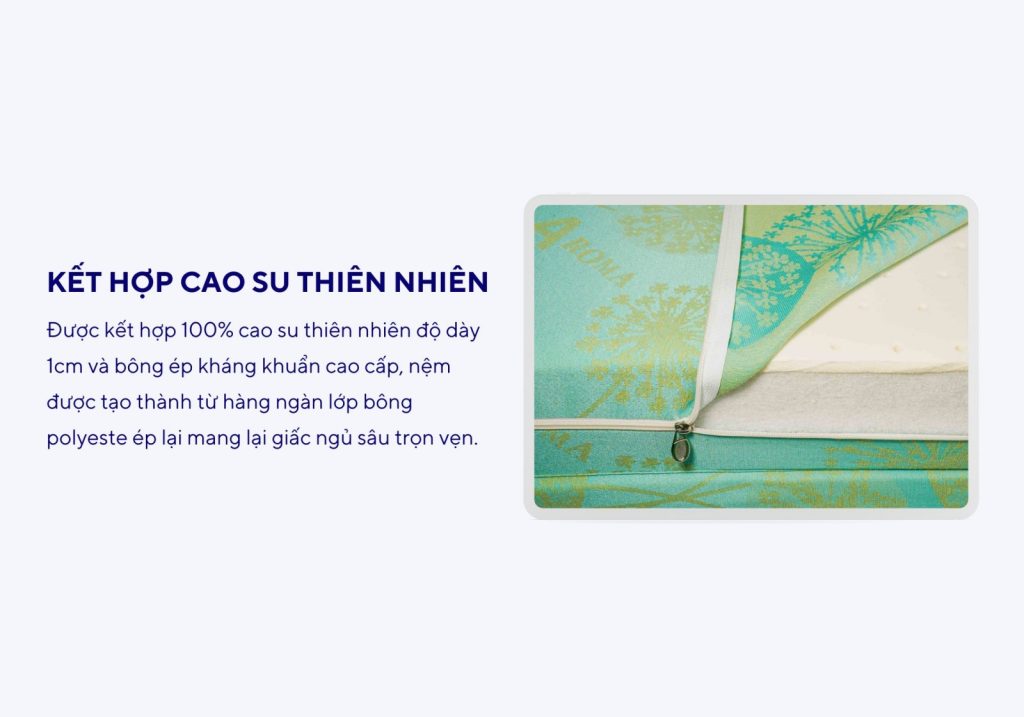nệm cao su bông ép là gì