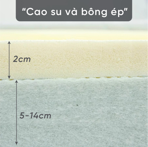 nệm cao su bông ép là gì
