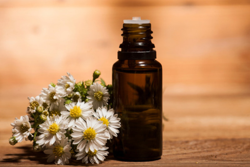 Phòng trẻ sơ sinh có nên xông tinh dầu không? Những điều bố mẹ cần biết 15 phòng trẻ sơ sinh có nên xông tinh dầu