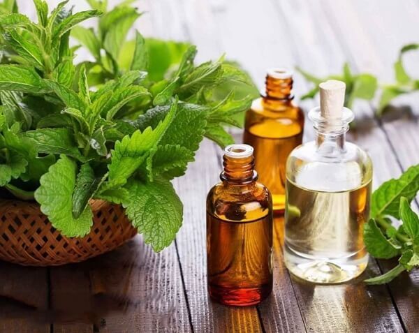 Phòng trẻ sơ sinh có nên xông tinh dầu không? Những điều bố mẹ cần biết 16 phòng trẻ sơ sinh có nên xông tinh dầu