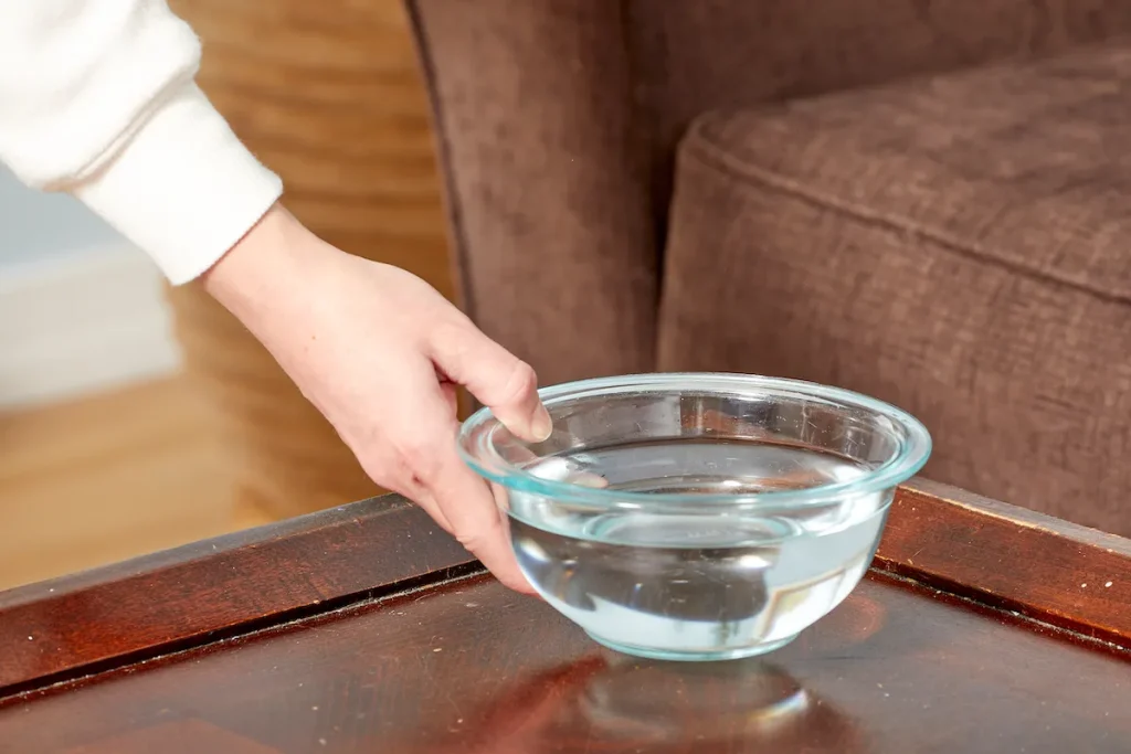 Có nên để chậu nước trong phòng ngủ? Lợi ích, rủi ro và khi nào nên tránh 10 có nên để chậu nước trong phòng ngủ