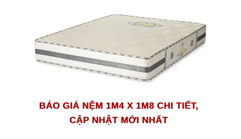 nệm 1m4 x 1m8