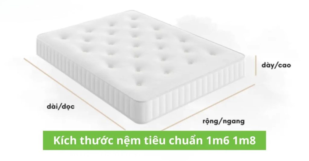 nệm 1m6x1m8