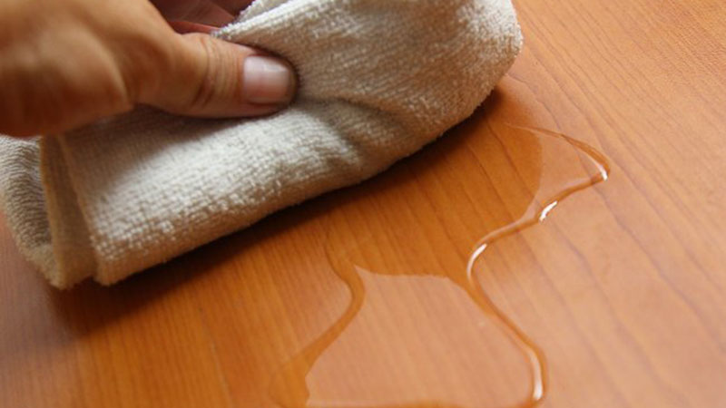 Cách khử mùi khai nước tiểu mèo