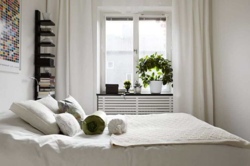 Cây xanh để phòng ngủ: Nên chọn cây nào, đặt ở đâu để tốt cho giấc ngủ? 33 cây cảnh để phòng ngủ