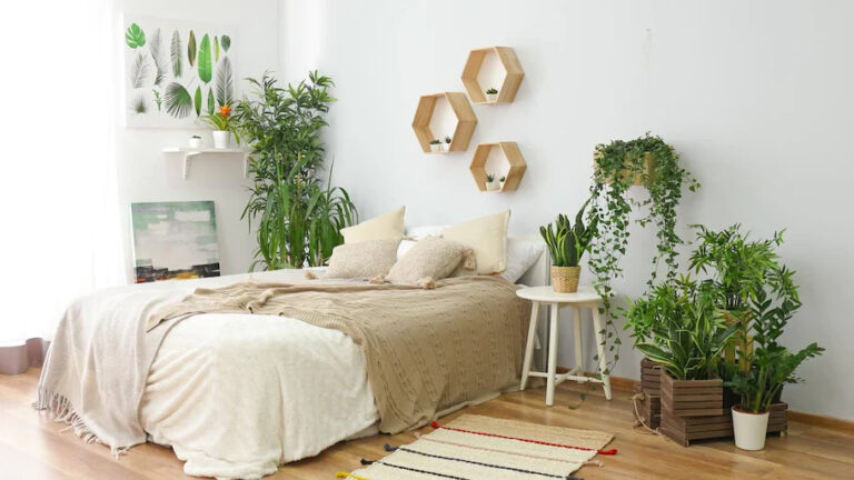 trồng cây trong phòng ngủ có tốt không
